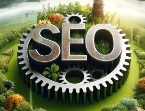 SEO Expectations & Our Process